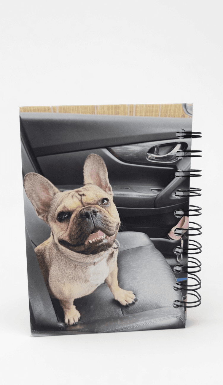 Bulldog back cover