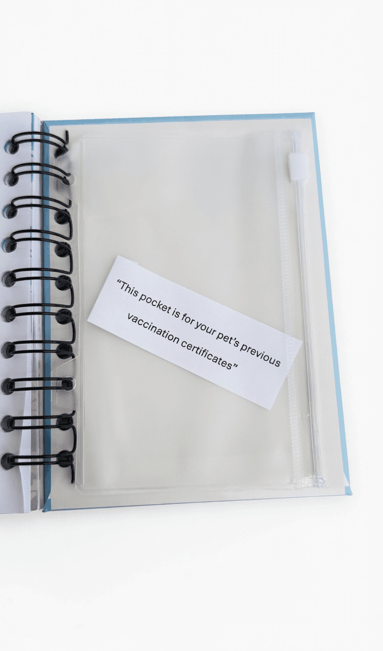 Clear pocket for previous vaccination certificates