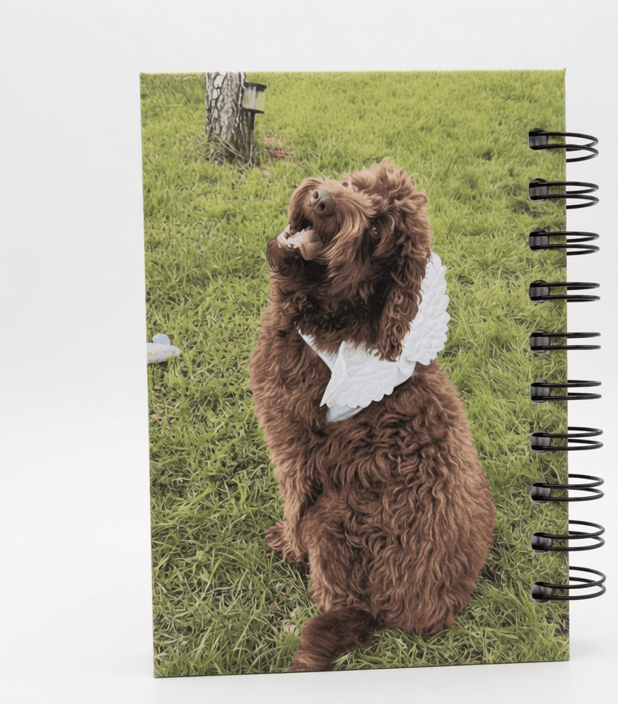 Paddington personalised back cover