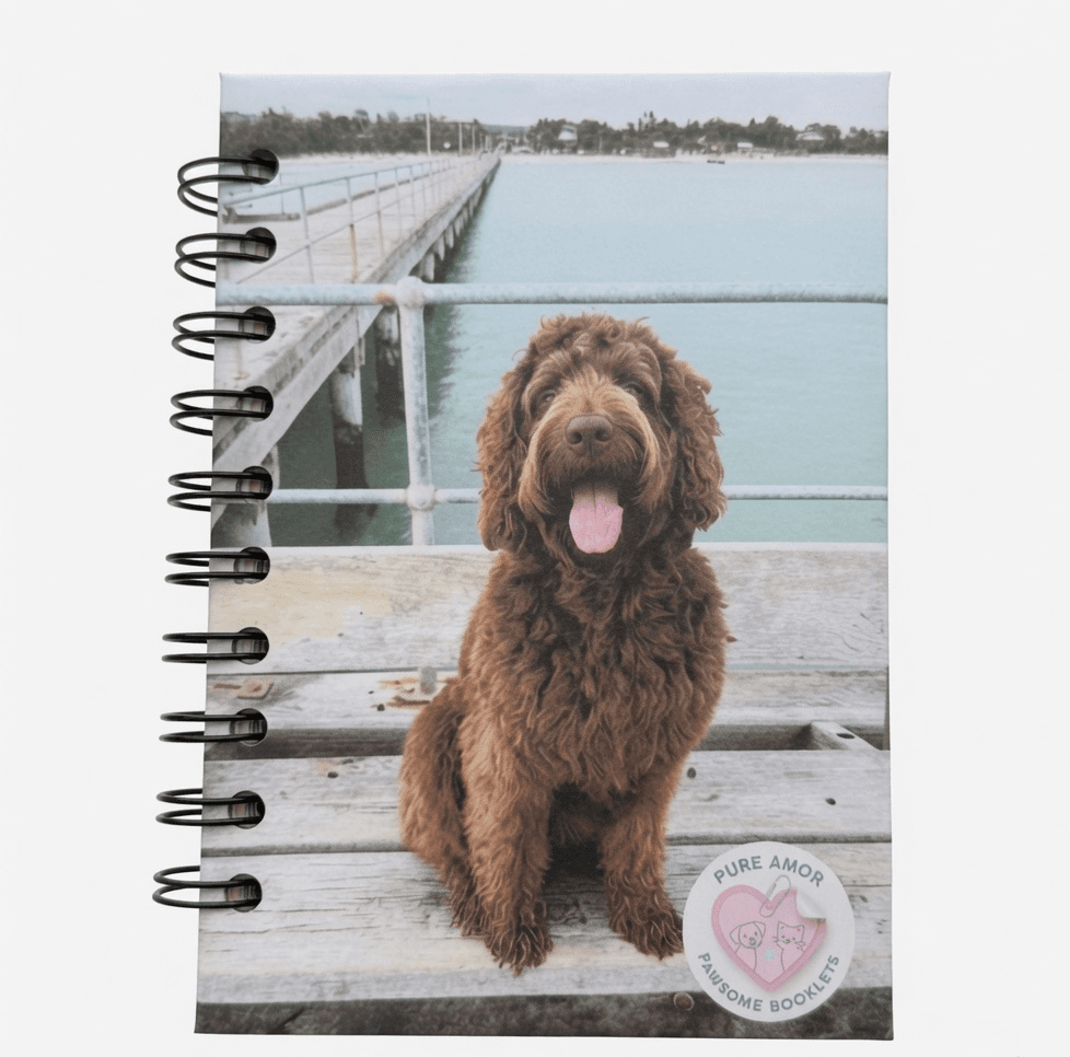 Paddington personalised front cover