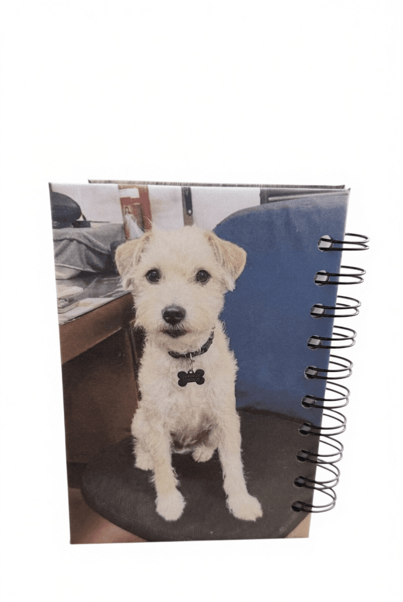 Pombo back cover