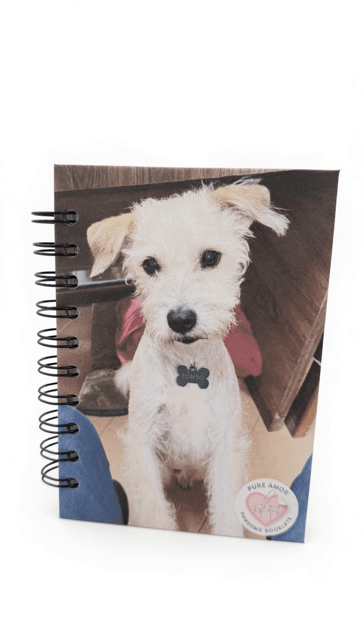 Pombo front cover